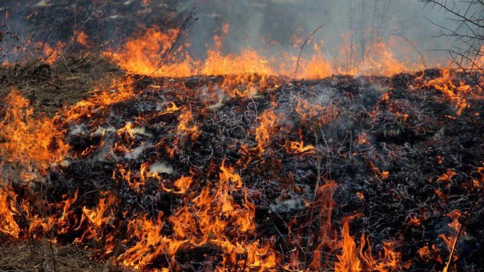 IGSU avertizează: măsuri stricte pentru prevenirea incendiilor în timpul campaniei de recoltare a cerealelor
