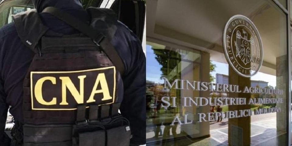 Un secretar de stat și reprezentantul unui agent economic, reținuți de CNA și procurorii anticorupție într-un dosar de corupție