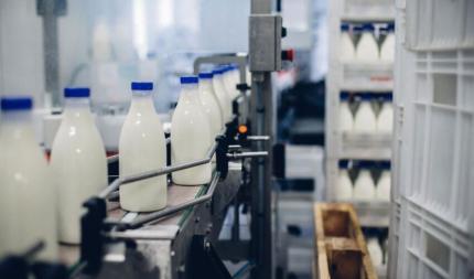 Analiză: Moldova pierde autonomia pe piața lactatelor – importurile acoperă până la 60% din consum