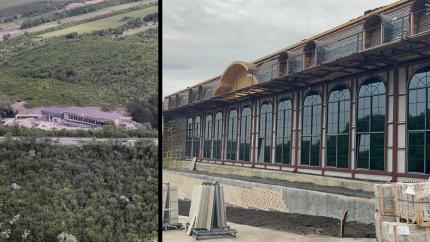 Percheziții într-un dosar privind distrugerea fondului forestier din pădurea „Doina”. Prejudiciul adus mediului depășește 4 milioane de lei