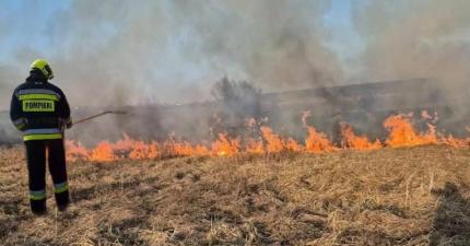 Incendii de vegetație în mai multe raioane ale țării. În raionul Cahul, 60 de baloți de paie și două hectare de iarbă uscată au fost mistuite de flăcări