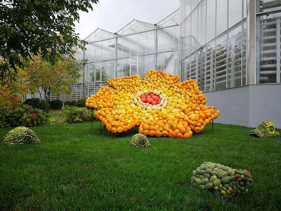 Grădina Botanică din Iași sărbătorește 170 de ani de la înființare. Acces liber pentru public
