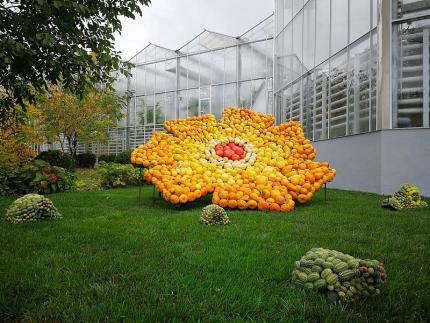 Grădina Botanică din Iași sărbătorește 170 de ani de la înființare. Acces liber pentru public
