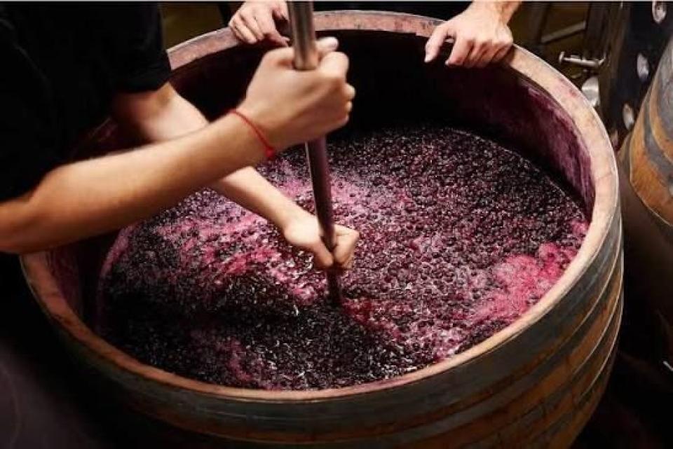 IGSU avertizează asupra pericolului intoxicării cu dioxid de carbon în perioada fermentării vinului