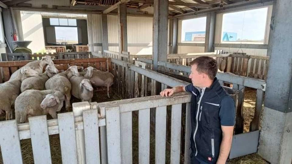 S-a născut în Austria, dar a ales România: povestea unui tânăr fermier care a construit o afacere fără credite