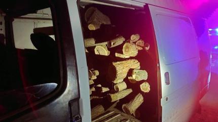 Șase cazuri de tăiere ilegală a arborilor și transportare a lemnului fără acte, documentate de polițiștii din Taraclia