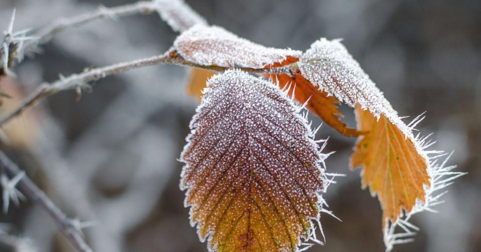 Temperaturi de până la -2°C în nopțile și diminețile de 3 și 4 octombrie