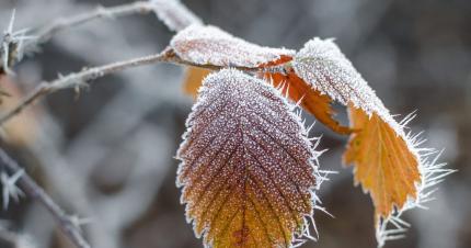 Temperaturi de până la -2°C în nopțile și diminețile de 3 și 4 octombrie