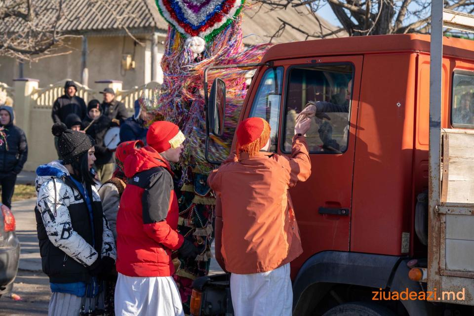 FOTO/ Caprele din Crihana Veche 13 ianuarie 2025