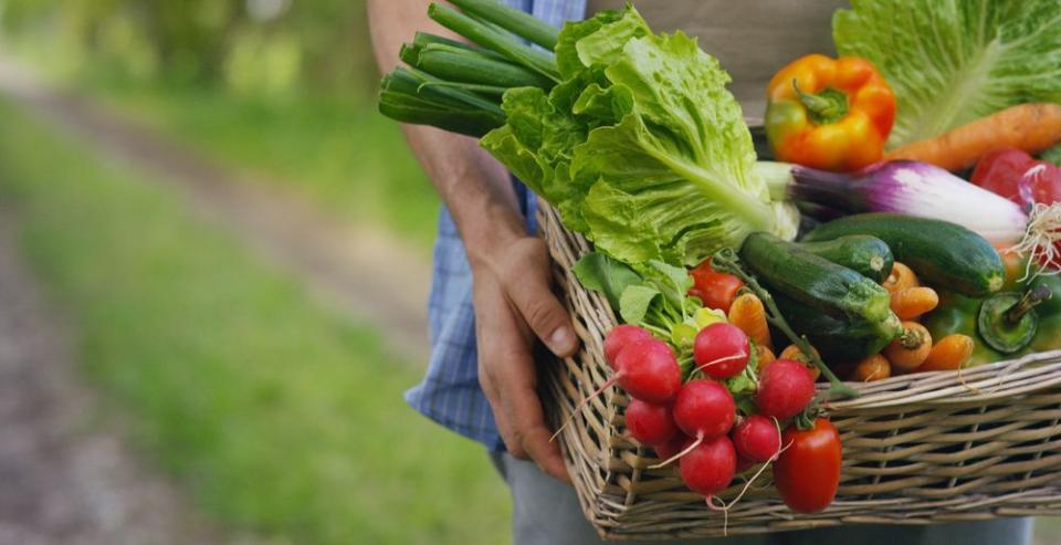 Noi reguli pentru importul și circulația plantelor și produselor vegetale în Moldova