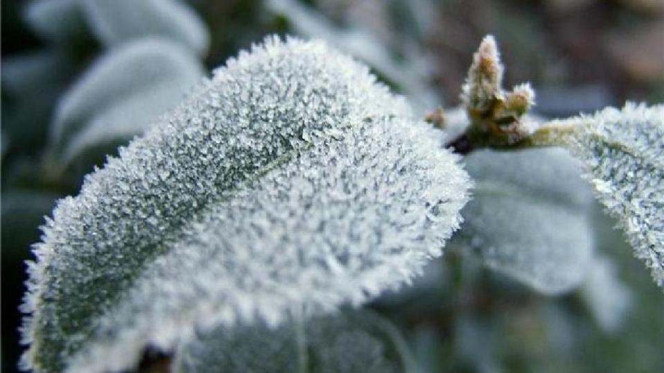 În Moldova sunt așteptate înghețuri de până la -10°C pe timp de noapte