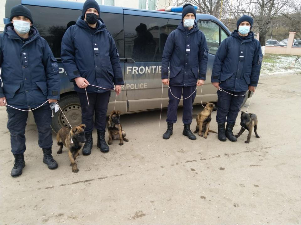 Echipa DR Sud a Poliției de Frontieră s-a suplinit cu încă 4 patrupezi