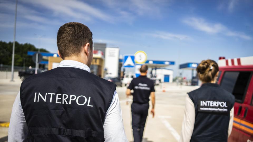 Acte falsificate și un ATV căutat pe INTERPOL depistate la frontieră