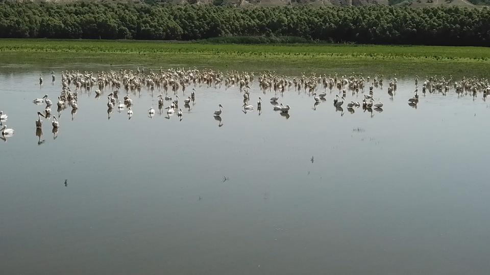 UE // Vor fi sporite măsurile de reziliență la schimbările climatice în Aria Naturală Protejată Rezervația Biosferei „Prutul de Jos”