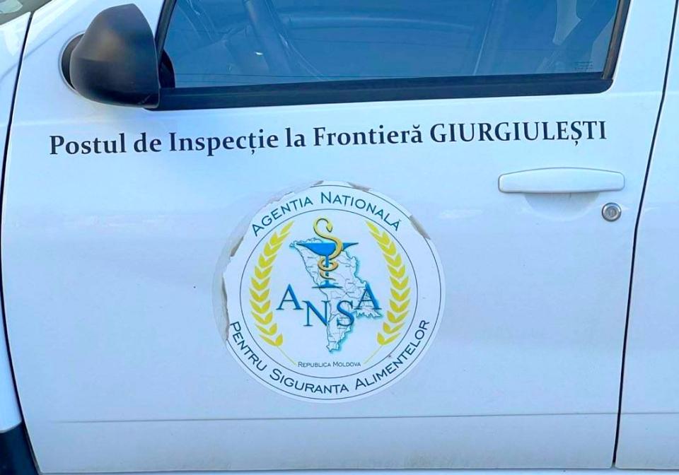 Curtea de Apel Cahul a menținut încheierile judecătorului de instrucție în cazul celor 11 angajați ai ANSA reținuți pentru corupție la Giurgiulești