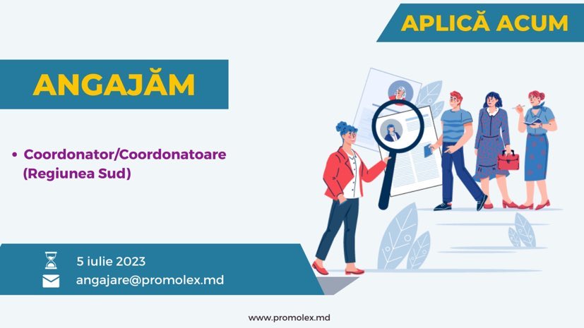 Asociația Promo-LEX anunță concurs de angajare pentru poziția de Coordonator Regional (Regiunea Sud) în cadrul Programului Procese Democratice // TERMEN EXTINS