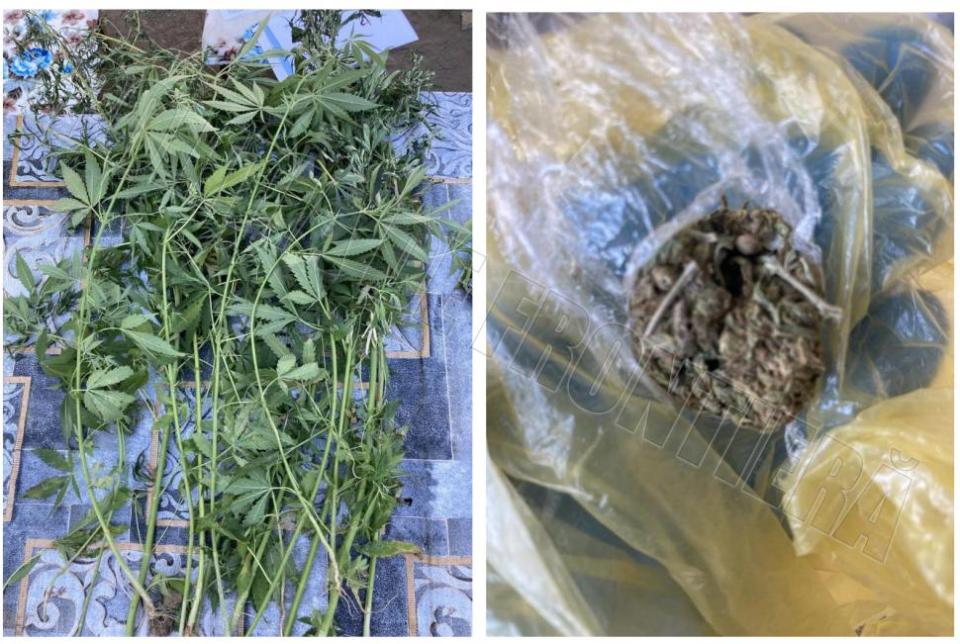 Droguri și arme, depistate pe mai multe adrese dintr-o localitate din raionul Cahul