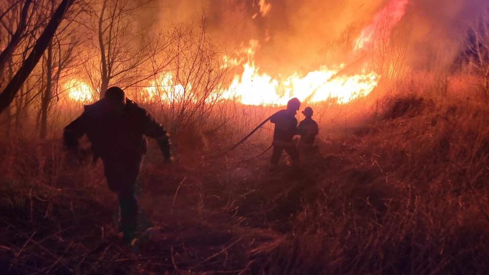 FOTO // Incendiu de vegetație la Colibași. Ion Dolganiuc: a fost provocat de o mână criminală