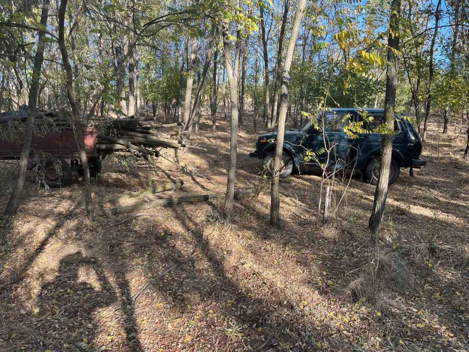 Prindere în flagrant la Tătărești: Cetățean surprins tăind arbori de salcâm /FOTO