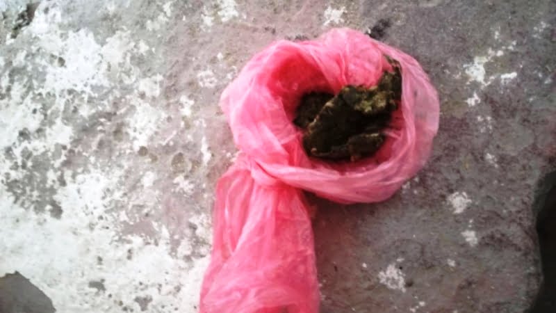 Doi bărbați au fost reținuți pentru circulația ilegală a drogurilor în Sudul țării