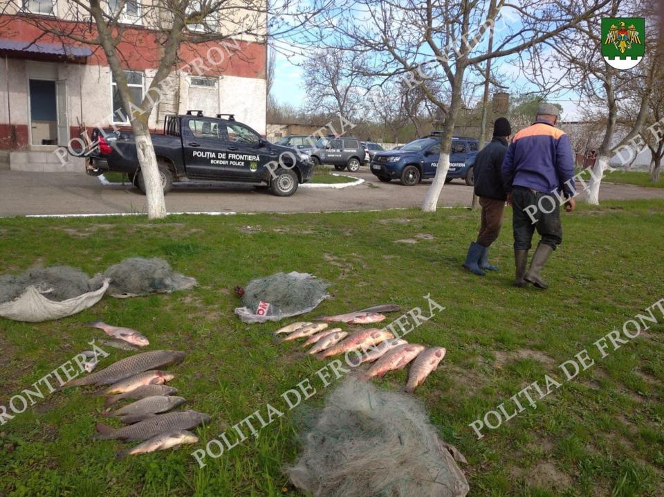 La pescuit cu plasele: Doi bărbați au fost reținuți în timp ce pescuiau în lacul Manta