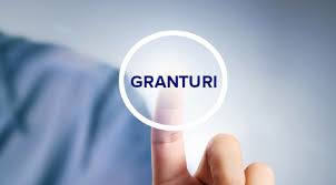 Granturile nerambursabile până la 100 mii lei oferite de către GAL Valea Halmagei
