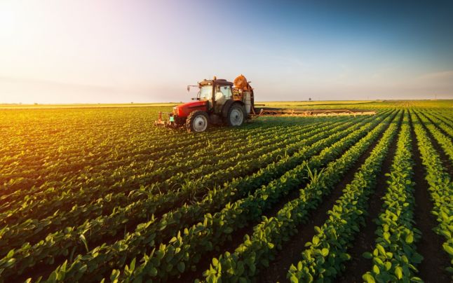 Poliția de Frontieră nu crează impedimente agricultorilor la prelucrarea pământurilor, aflate în zona de frontieră