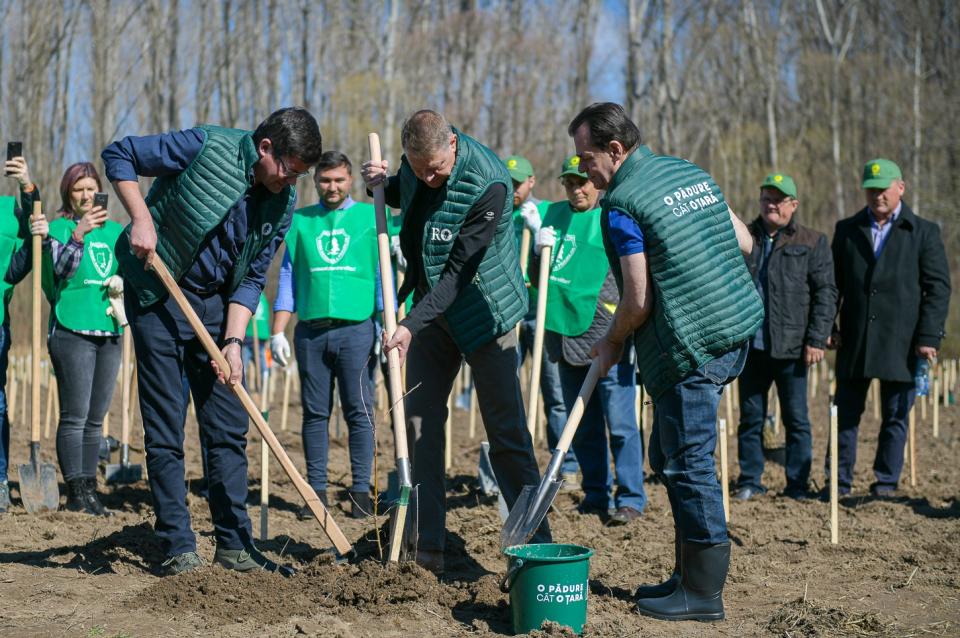 Start campaniei de împădurire: Peste 440 de locații pentru plantare disponibile