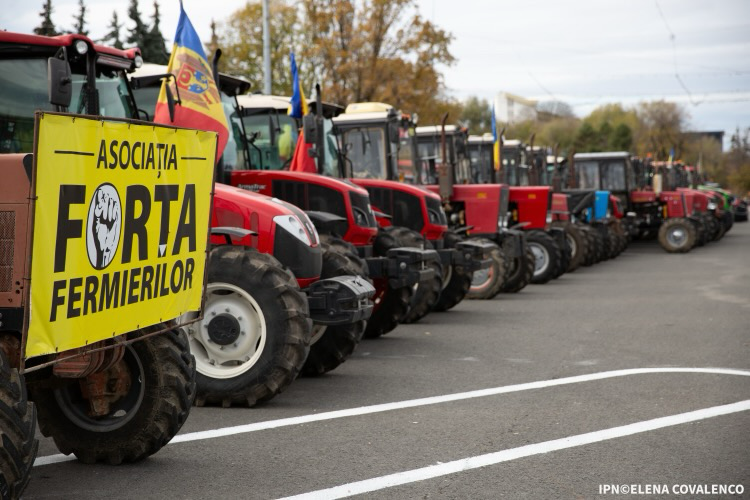 Elevii și studenții din Cahul au participat la  Școala de Toamnă „Constituția - Lege Fundamentală” | FOTO