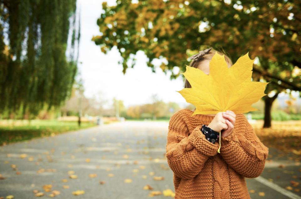 Weekend cu temperaturi moderate și vreme variabilă în sudul Moldovei: noros sâmbătă și parțial însorit duminică