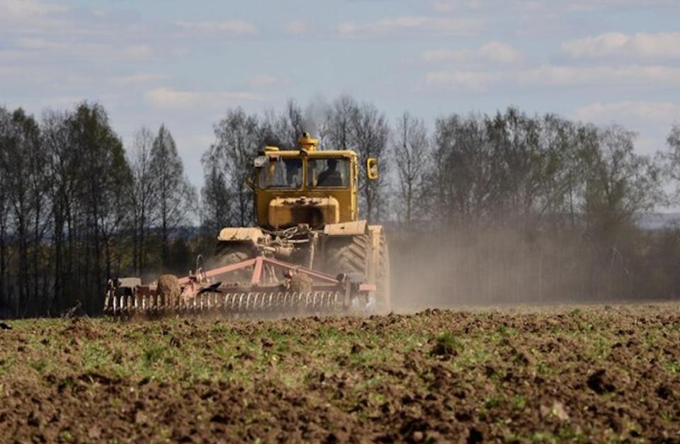 Silvicultorii „Moldsilva” pregătesc 8 milioane de puieți pentru viitoarele plantări forestiere