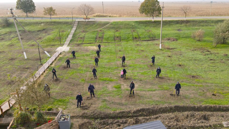Direcția Regională Sud s-a alăturat campaniei ¨Un arbore pentru dăinuirea noastră¨ /VIDEO