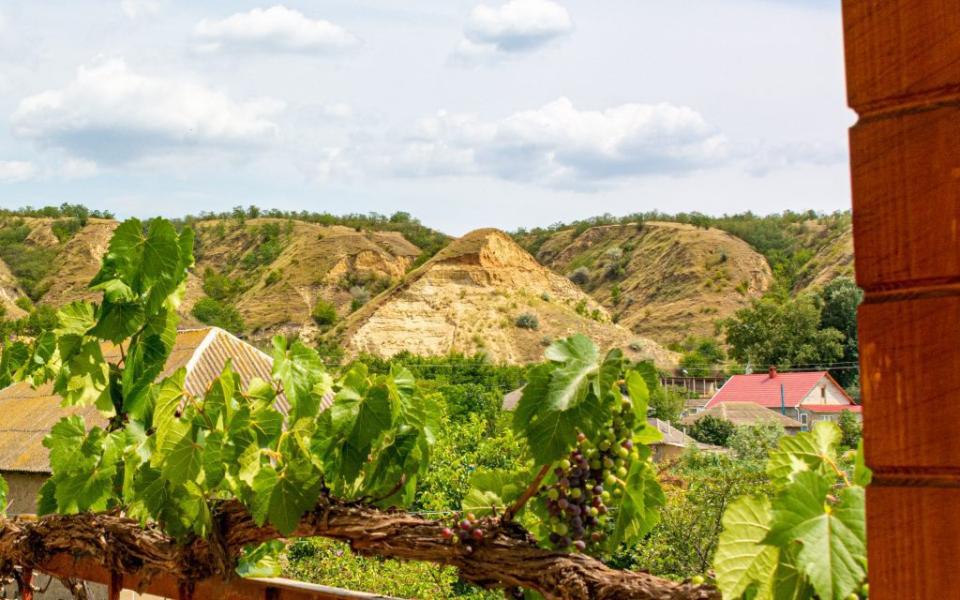 Uniunea Europeană alocă 200 mii euro pentru dezvoltarea tehnologiilor moderne în managementul resurselor naturale din lunca Prutului de Jos