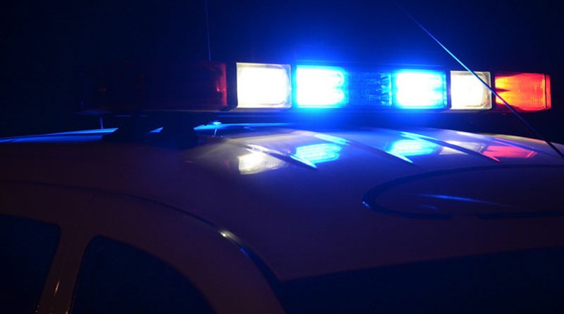 Crihana Veche: Și-a omorât mama din arma de vânătoare deținută ilegal