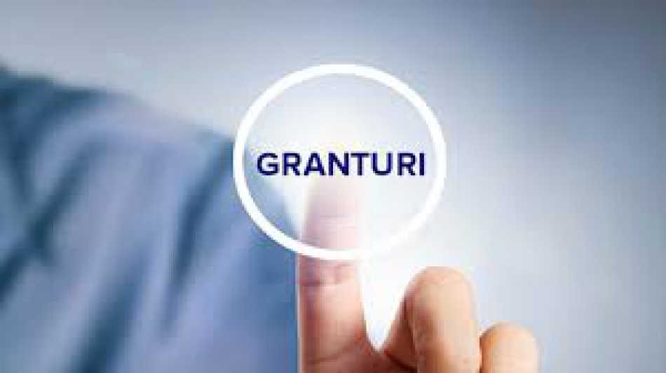 Concurs de granturi pentru afacerile mici, inclusiv pentru regiunea Cahul, lansat de Organizația Internațională pentru Migrație