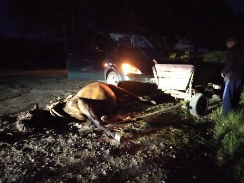 Accident nocturn la Cahul. Un mercedes a tamponat o căruță la marginea orașului // FOTO