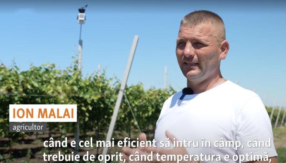 Ion Malai din satul Ursoaia își monitorizează plantația de pe telefonul mobil /VIDEO