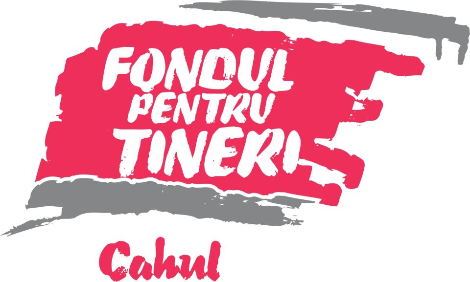PROGRAMUL DE GRANTURI MICI PENTRU TINERI 2022, EDIȚIA A IX-A SE DECLARĂ DESCHIS