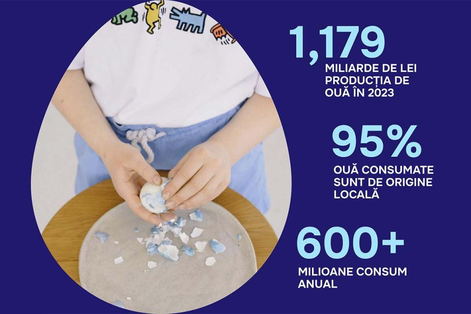 Producția locală de ouă în 2023 a atins valoarea de 1,179 miliarde de lei