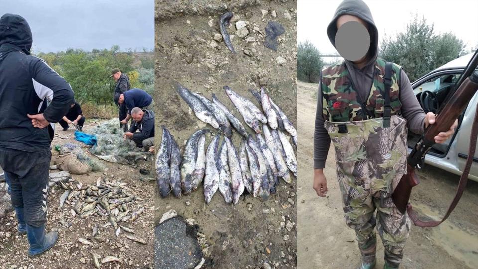 /FOTO/ Razii de combatere a braconajului în raioanele de sud