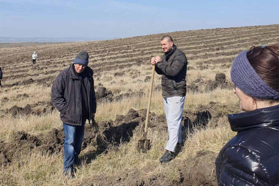 Campania națională de împădurire „Generația Pădurii” a ajuns la Cahul