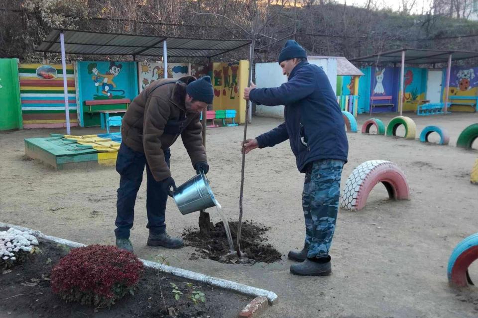 Circa 300 de arbori au fost plantați în ultimele zile în Cahul, până în aprilie vor fi defrișați peste 400