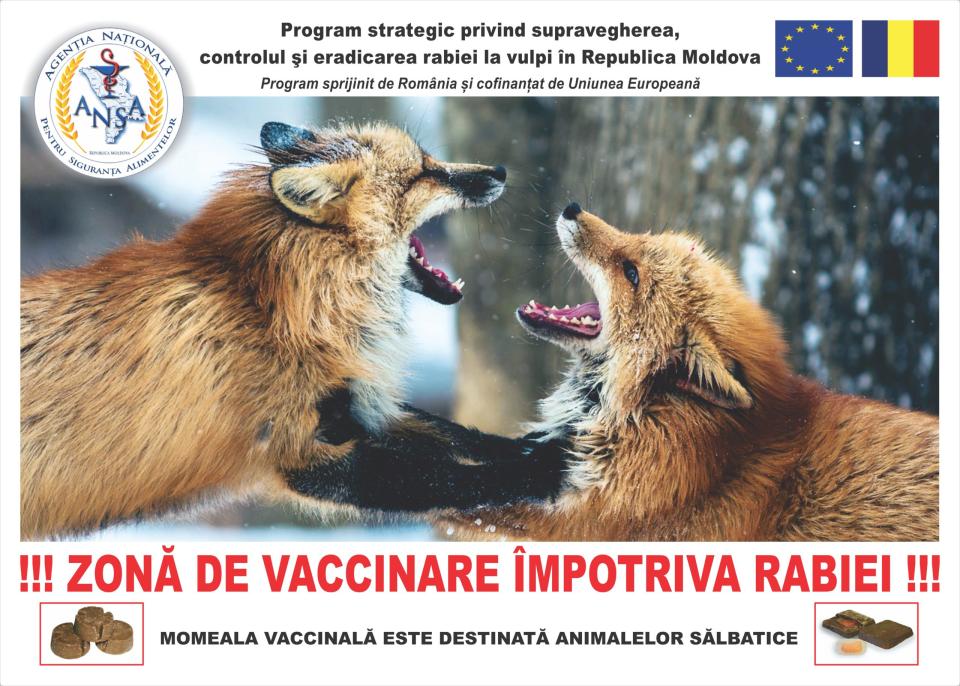 Azi începe profilaxia îmbolnăvirii cu rabie la animale. Atenție la câini!