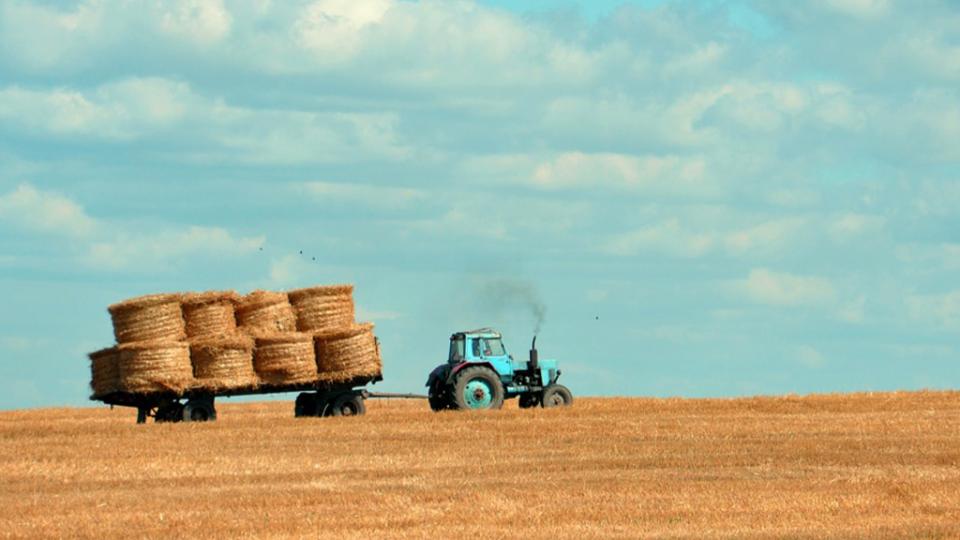 Agricultura Moldovei are o șansă - Noua lege privind importul cerealelor