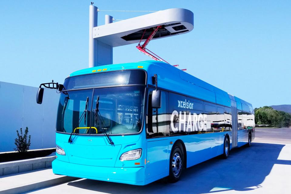 În municipiul Cahul ar putea fi creat un serviciu de transport public ecologic