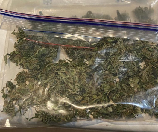 Marijuana de 480.000 lei – ridicată din Cahul și trei bărbați reținuți