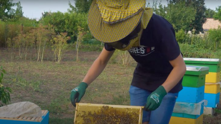 Sergiu Parfeni – tânărul apicultor de la Gotești, Cantemir