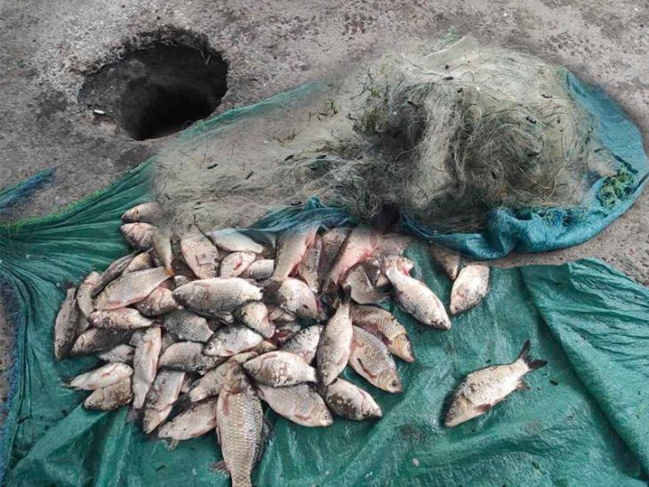 Un locuitor din Crihana Veche s-a pornit la pescuit cu 16 plase în zona de frontieră