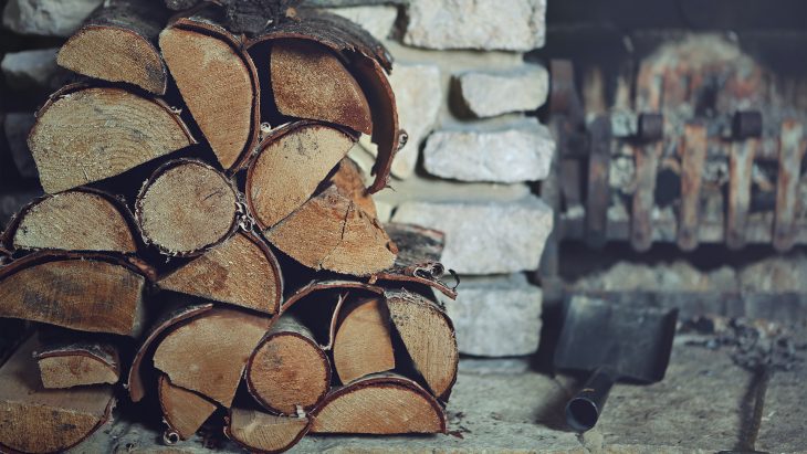 INFOGRAFIC. Cât lemn este disponibil în vânzare în raionul Cahul