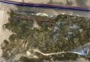 Marijuana de 480.000 lei – ridicată din Cahul și trei bărbați reținuți